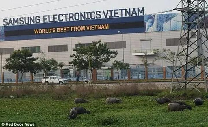 Hotspot Matrix: Biến Phương Oanh diện set đồ 50 thành cơ hội marketing đột phá