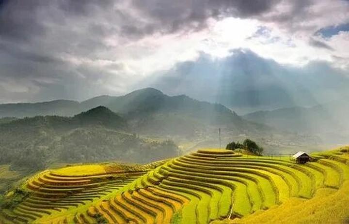 Hotspot Matrix: Biến Loài cá kỳ lạ nhất châu Phi: thành cơ hội marketing đột phá